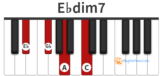 Chúng tôi quy chiếu Bbb = A, Dbb = C để bạn dễ dàng hình dung trên phím piano.