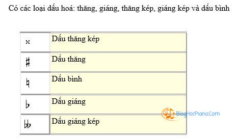 TOP 45 Câu hỏi nhạc lý cơ bản: Có mấy loại dấu hóa, dấu lặng, cung, nửa cung, hóa biểu, nhịp lấy đà, nhịp đơn, điệu thức trưởng, điệu thức thứ tự nhiên và hòa thanh