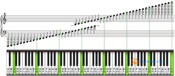TOP 7 YẾU TỐ nhạc lý cơ bản cho người mới học guitar cần nắm ( PHẦN 1)