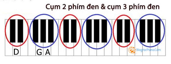 Top 5 Yếu tố nhạc lý cơ bản cho người mới học piano