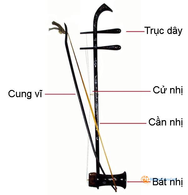 đàn nhị