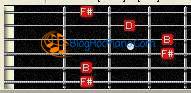 học nhạc lý cơ bản guitar