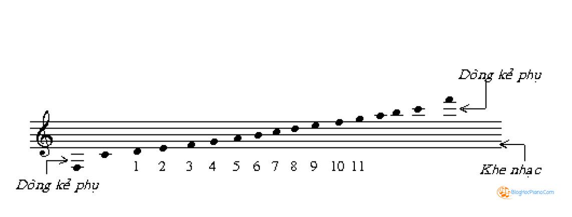 học nhạc lý cơ bản guitar