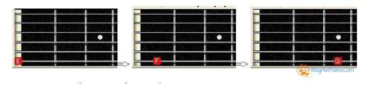 học nhạc lý cơ bản guitar