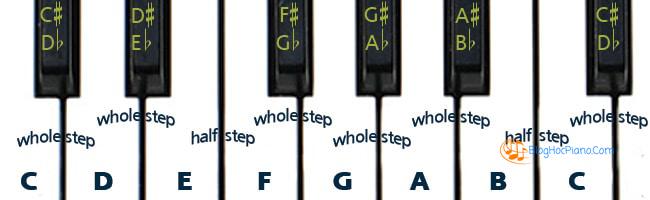 học đàn piano cho người mới bắt đầu