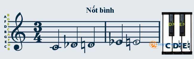 học đàn piano cho người mới bắt đầu