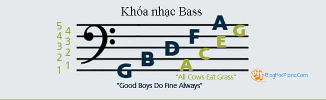 học đàn piano cho người mới bắt đầu