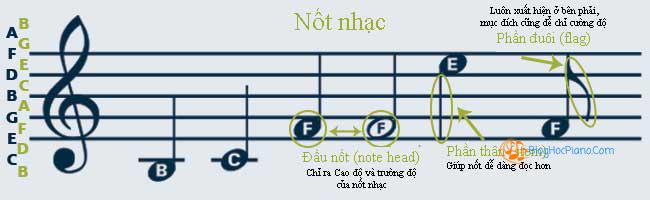 học đàn piano cho người mới bắt đầu