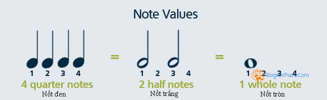 học đàn piano cho người mới bắt đầu