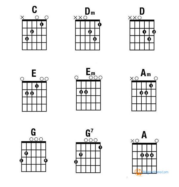 hợp âm guitar cơ bản