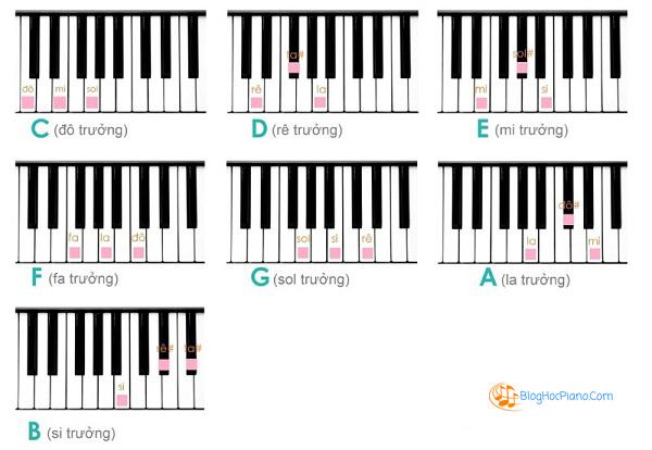 hợp âm piano