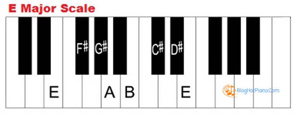 hướng dẫn học đàn piano cơ bản 8
