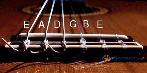 Tìm hiểu dây đàn guitar acoustic và classic và Cách đọc dây đàn guitar
