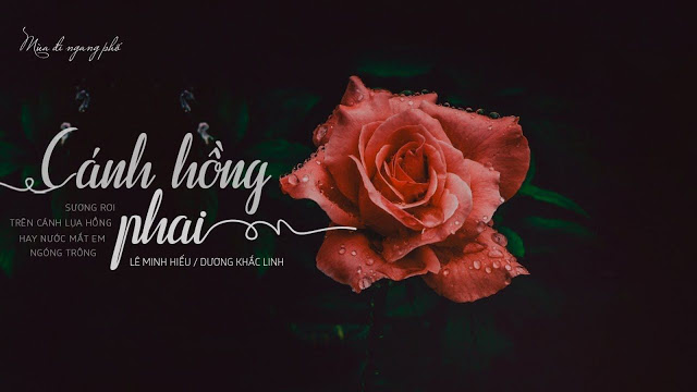 Sheet nhạc cánh hồng phai Piano