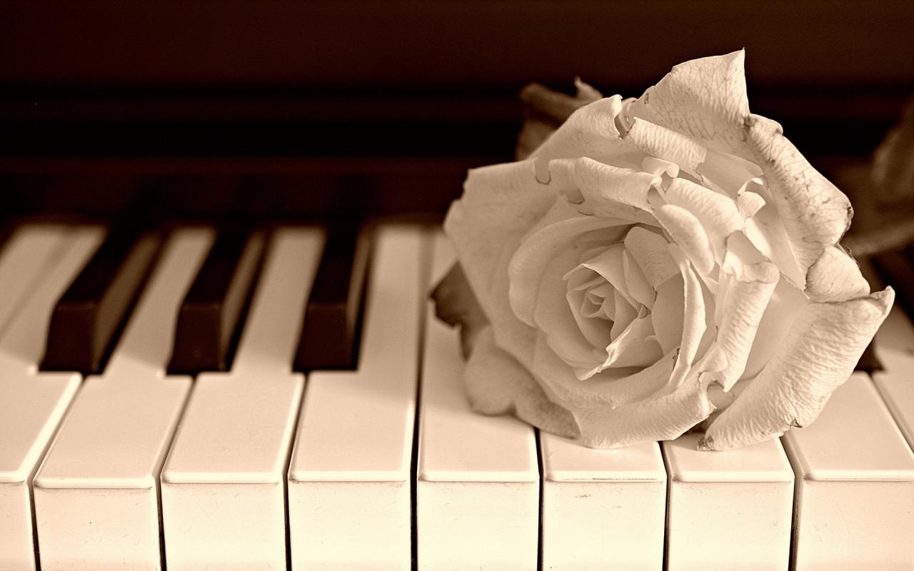 1920x1200 piano wallpaper 2453
