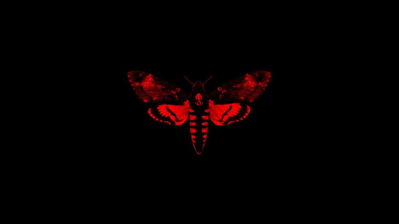 1920x1080 Wall rap lil wayne hiphop wallpaper