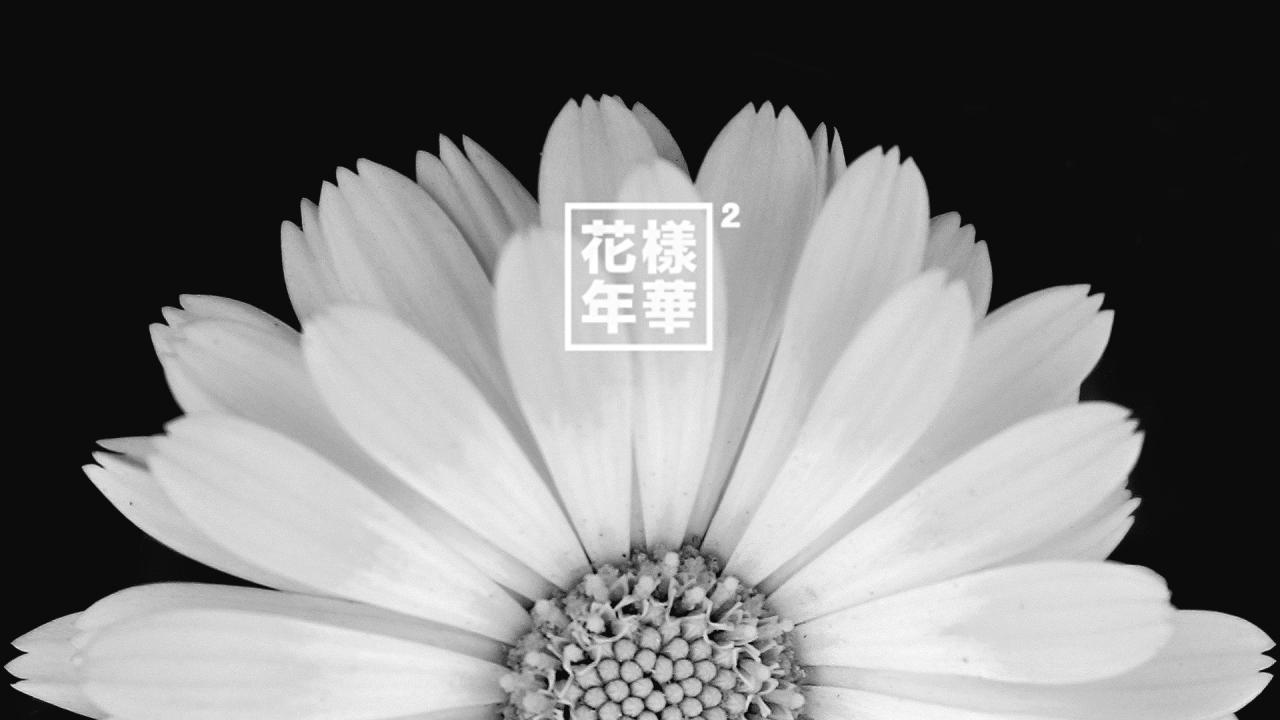 1920x1080 I made some simple 1920x1080 í™”ì–‘ì—°í™” pt.2 wallpapers, enjoy!
