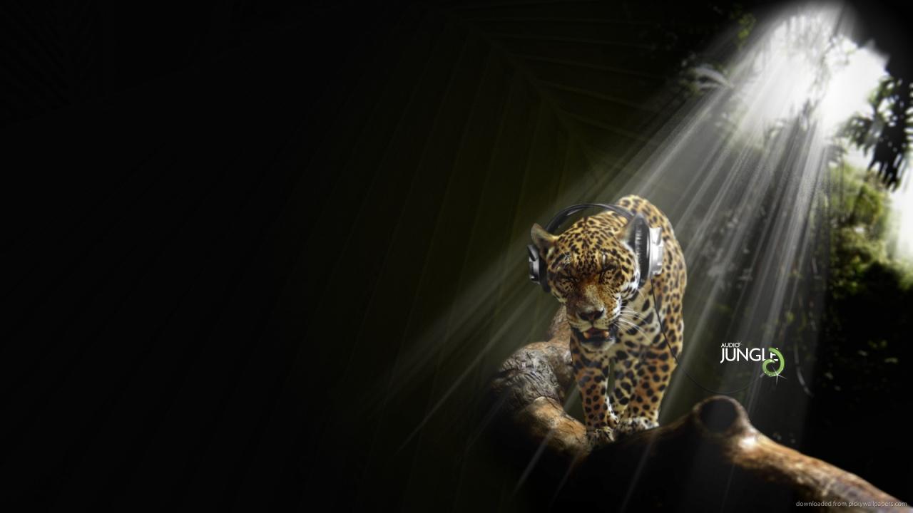 1920x1080 Listening to music for 