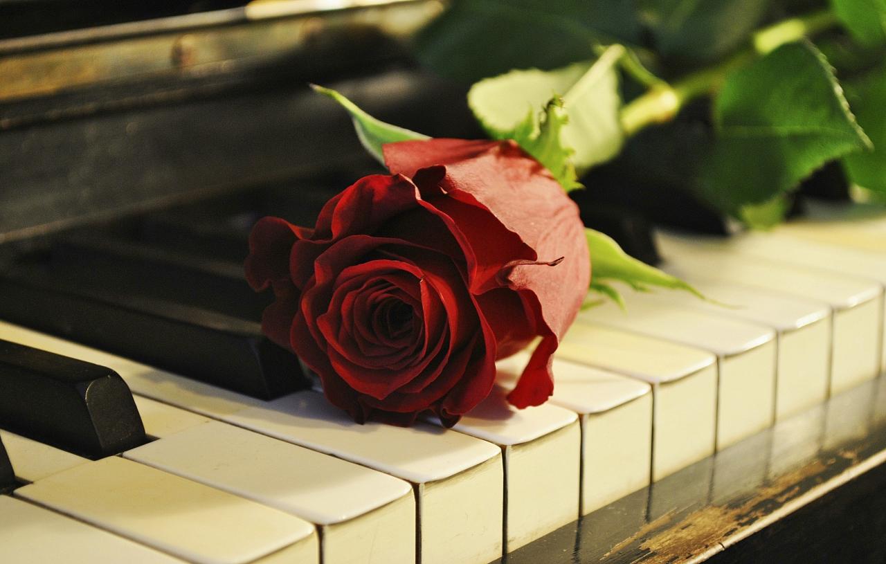 2896x1844 HD Wallpaper | Background ID:383278
