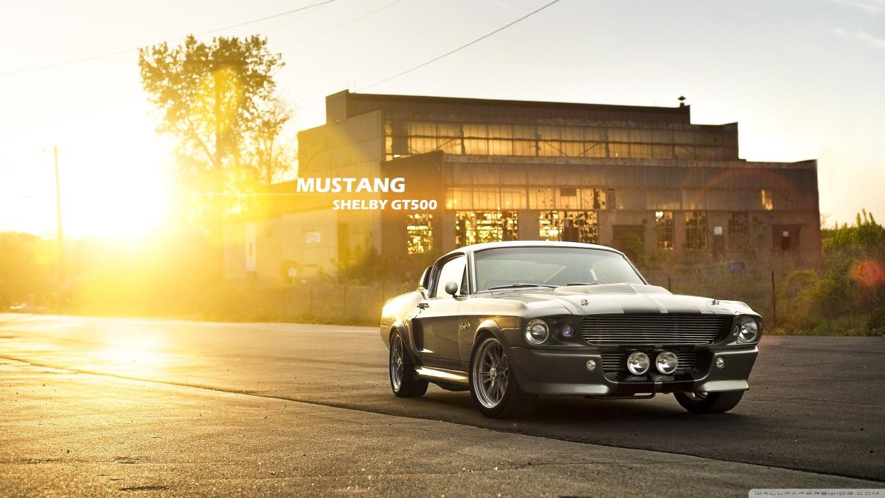 2560x1440 Mustang Shelby GT500 HD Wide Wallpaper for Widescreen