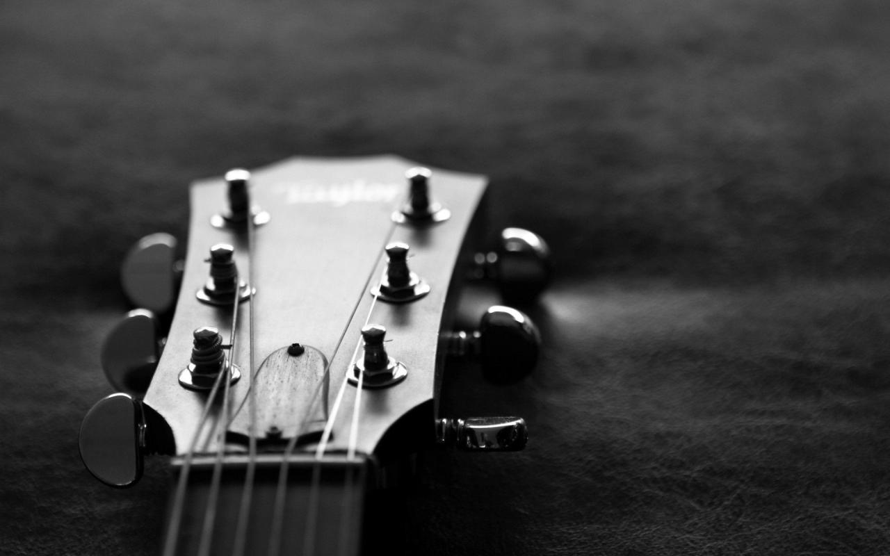 1920x1200 Gallery For e Bass Guitar Wallpapers Ã— Bass Guitar