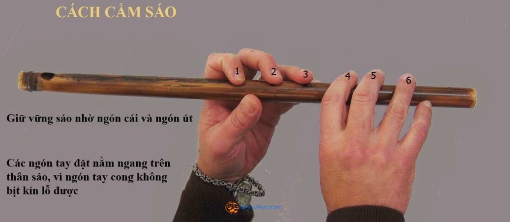 TÀI LIỆU hướng dẫn tự học thổi sáo trúc