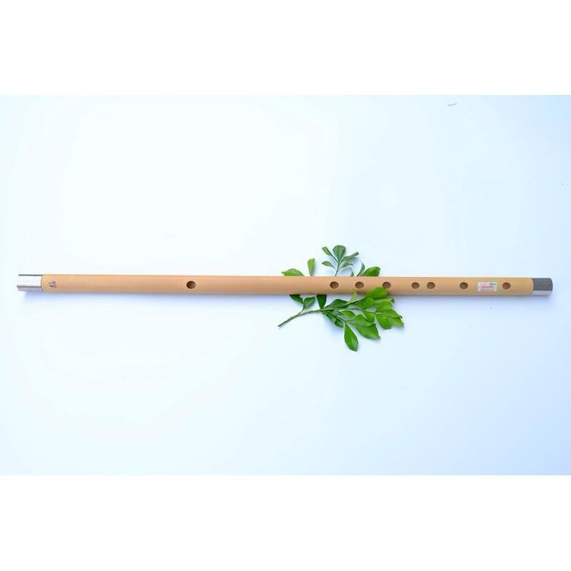 Các loại nhạc cụ dân tộc Việt Nam