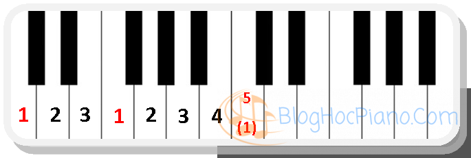 Piano Scale Chart