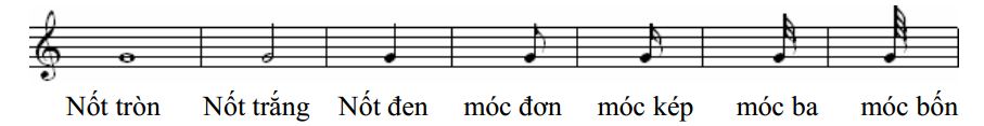Giá trị độ dài các nốt nhạc – độ dài nốt nhạc (Trường độ) trong âm nhạc